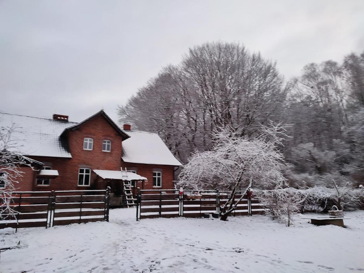 Zacisze Pod Bukami Lägenhet Gornica Exteriör bild