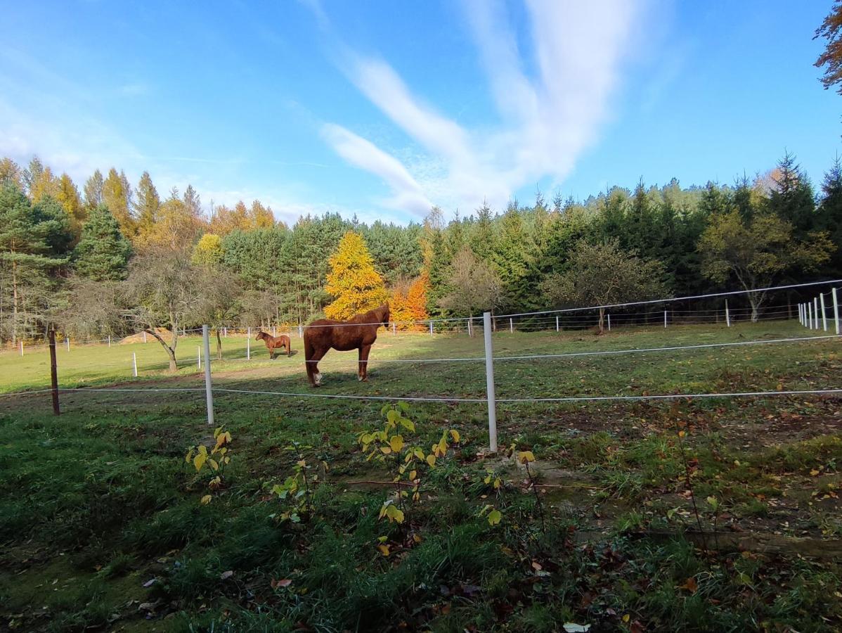 Zacisze Pod Bukami Lägenhet Gornica Exteriör bild