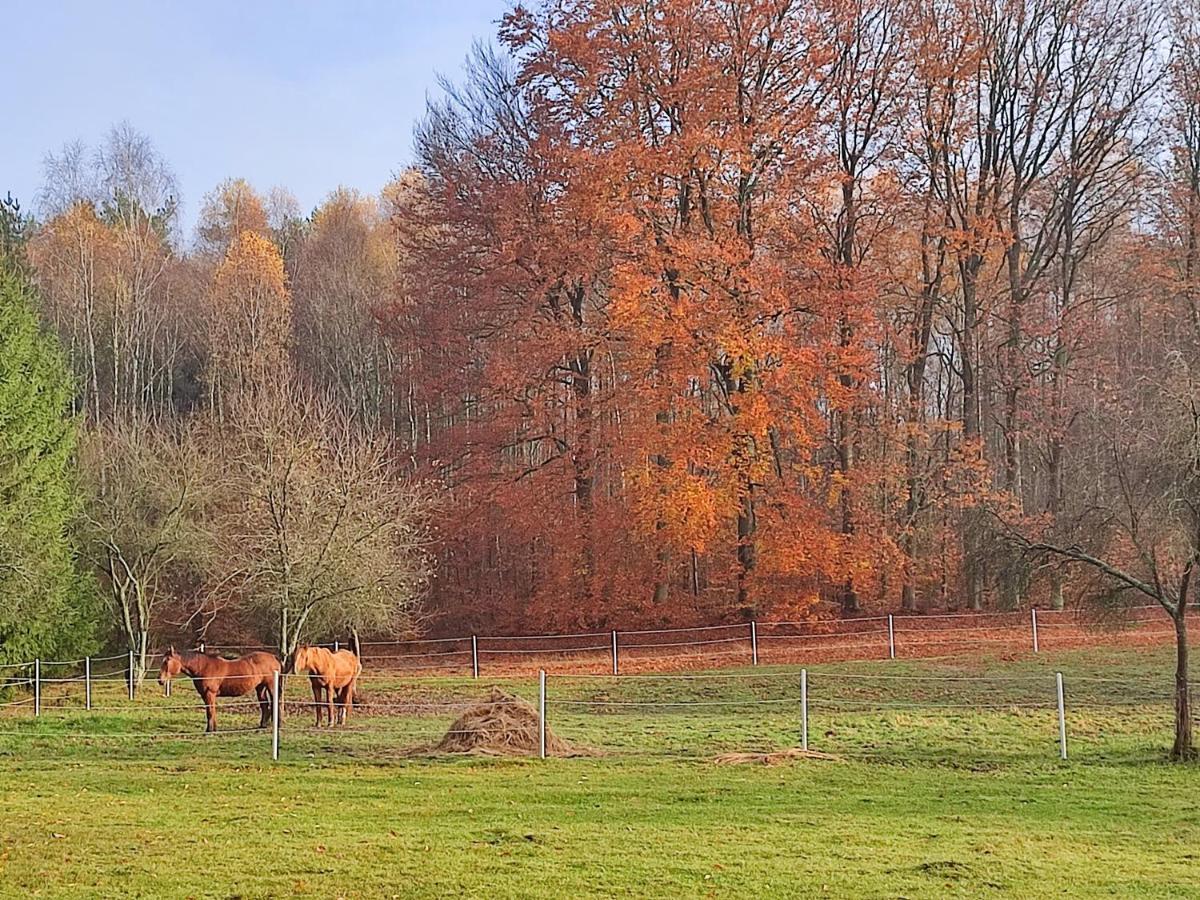 Zacisze Pod Bukami Lägenhet Gornica Exteriör bild